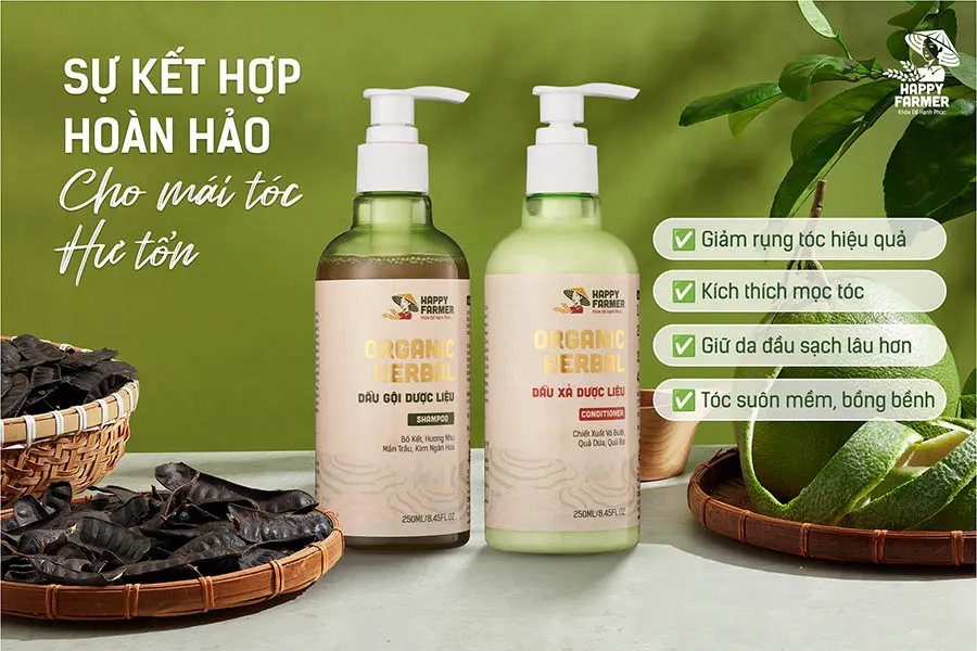 Combo gội xả dược liệu Organic Herbal