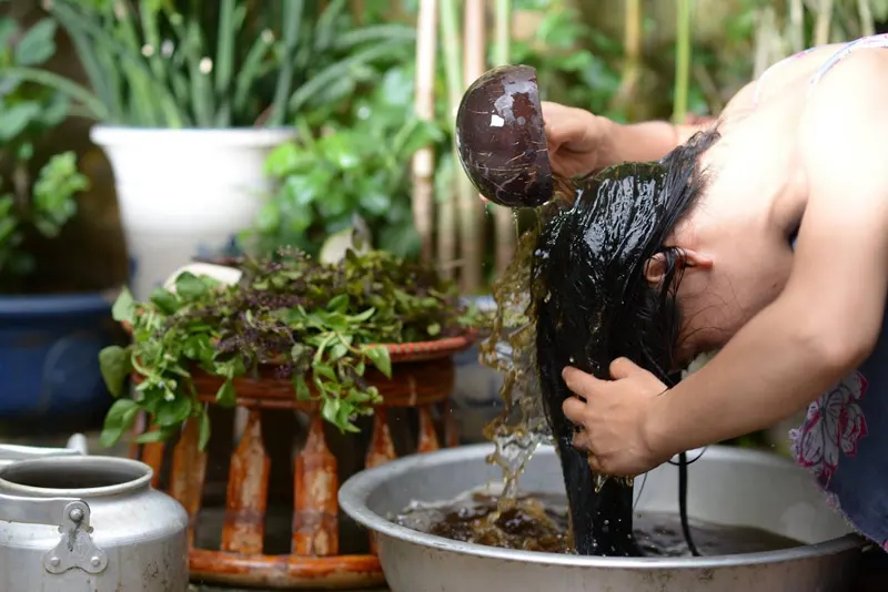 Gội đầu bằng nước bồ kết Giảm rụng tóc
